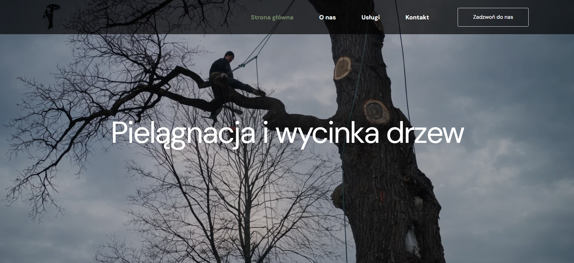 zrzut ekranu 2026 04 17 221253